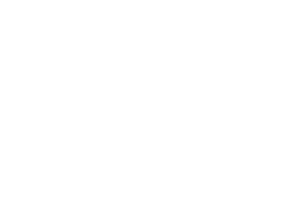 Nonviolent Global Liberation Community Logo